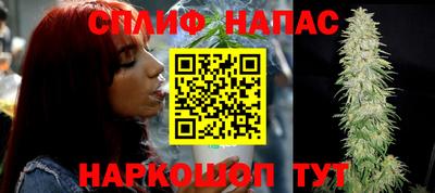 mdpv Новозыбков