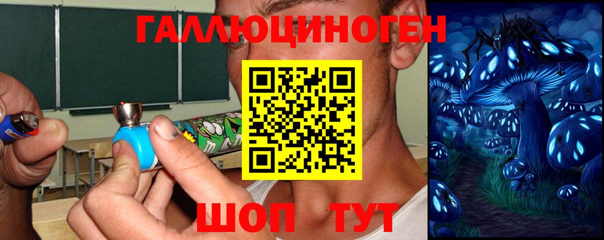 Псилоцибиновые грибы MAGIC MUSHROOMS Учалы