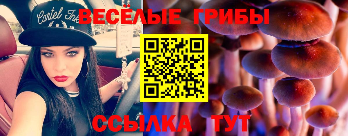 Галлюциногенные грибы мухоморы  Учалы 